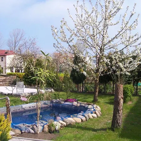 Beautiful With Garden In Apartment